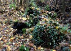 2014-11-14-16 Reychsausritt 100