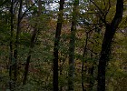 2014-11-14-16 Reychsausritt 102