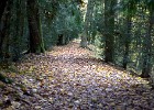 2014-11-14-16 Reychsausritt 103