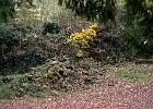 2014-11-14-16 Reychsausritt 104