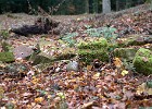 2014-11-14-16 Reychsausritt 105