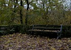 2014-11-14-16 Reychsausritt 106