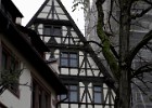 2014-11-14-16 Reychsausritt 67