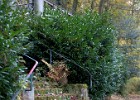 2014-11-14-16 Reychsausritt 98