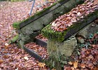 2014-11-14-16 Reychsausritt 99